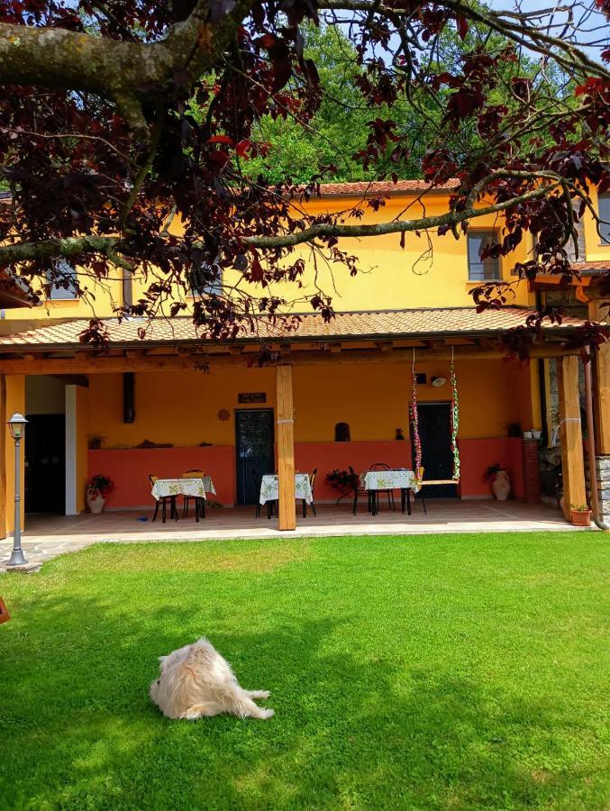 Terra Del Bosco Agriturismo Sesta Godano 외부 사진