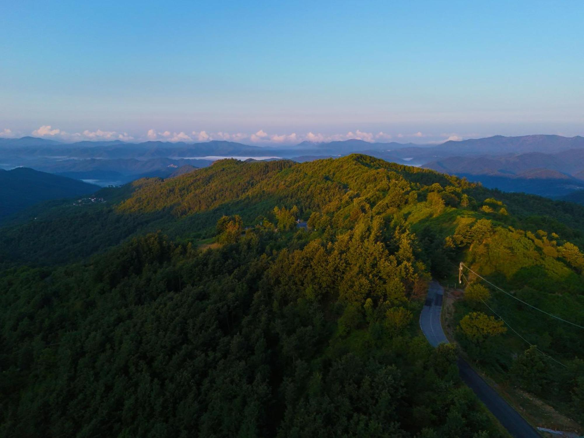 Terra Del Bosco Agriturismo Sesta Godano 외부 사진