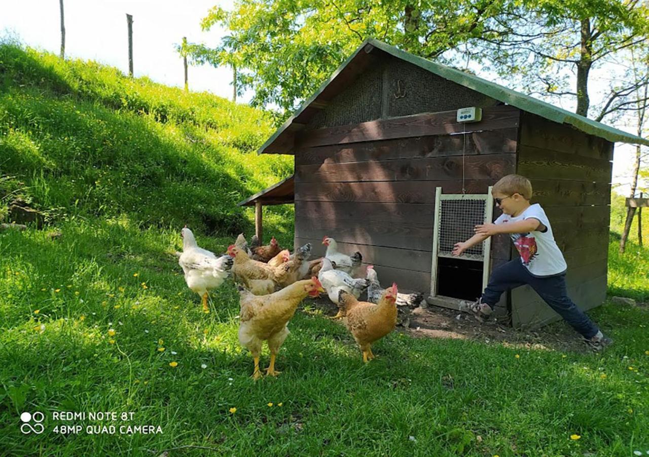 Terra Del Bosco Agriturismo Sesta Godano 외부 사진